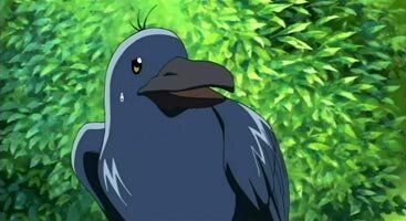 Sora