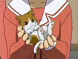 Yukaris K�tzchen