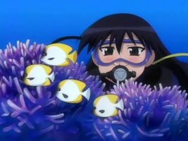 Sakaki beim Tauchen