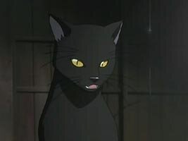 Yoruichi als Katze