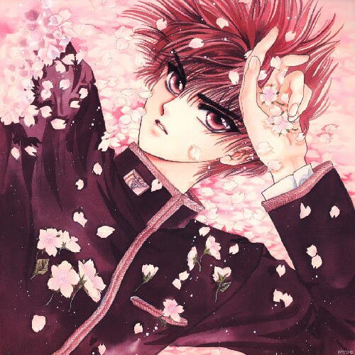 CLAMP