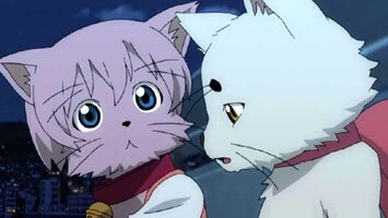 Yurie als Katze und Tama