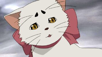 Tama