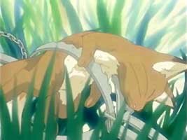 Makoto als Fuchs