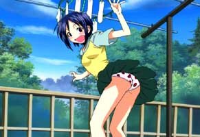 Maehara Shinobu