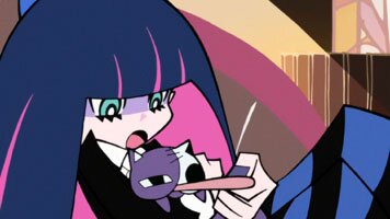 Stocking