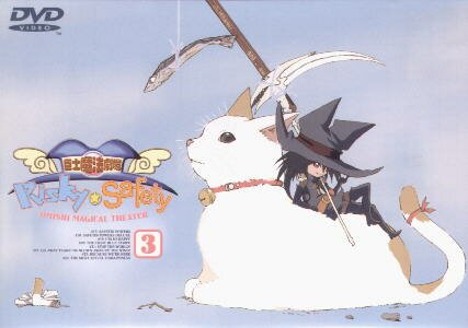 Risky Safety 3. DVD