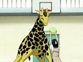 Yakumo f�ttert Pyotr, Kenjis Giraffe