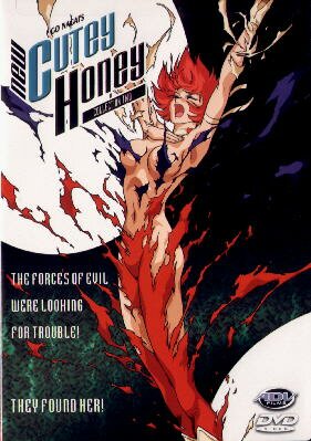 Shin Cutey Honey 2. DVD