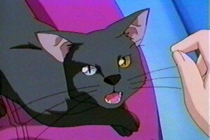 der Katzenshinma