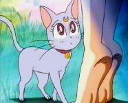 JASMS Anime - Diana