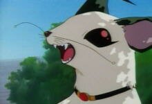 JASMS Anime - Jappolo