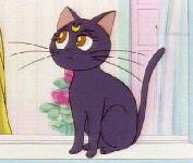 JASMS Anime - Luna