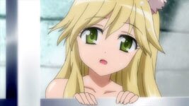 Vert Far Breton