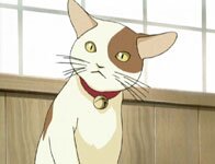 JASMS Anime - Wakaba